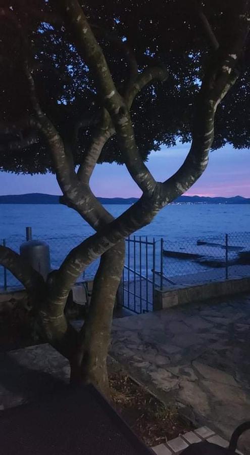 Apartment Andrija